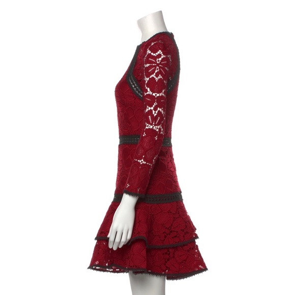 Alexis Lace Pattern Mini Dress - Picture 2 of 3